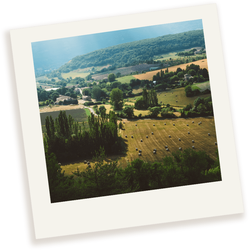 polaroid provence distillerie aix