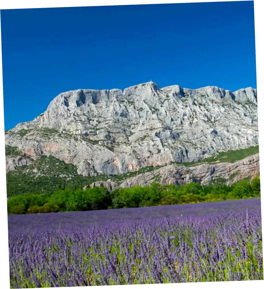 sainte victoire la distillerie d'aix en provence
