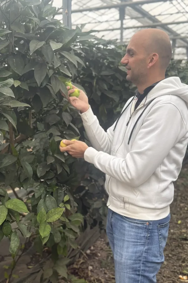 Edmée – Gin Hiver 2026 – 50cl